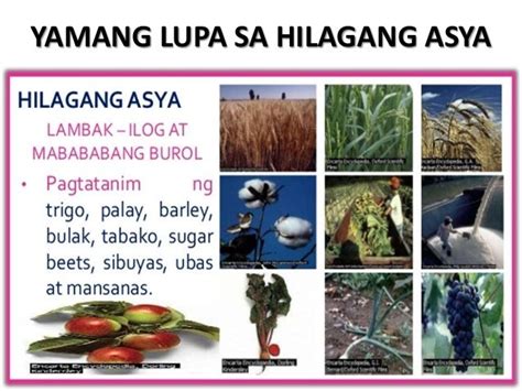 likas na yaman ng quezon city|LIKAS NA YAMAN: Kahulugan, Mga Anyo At Mga Uri .
